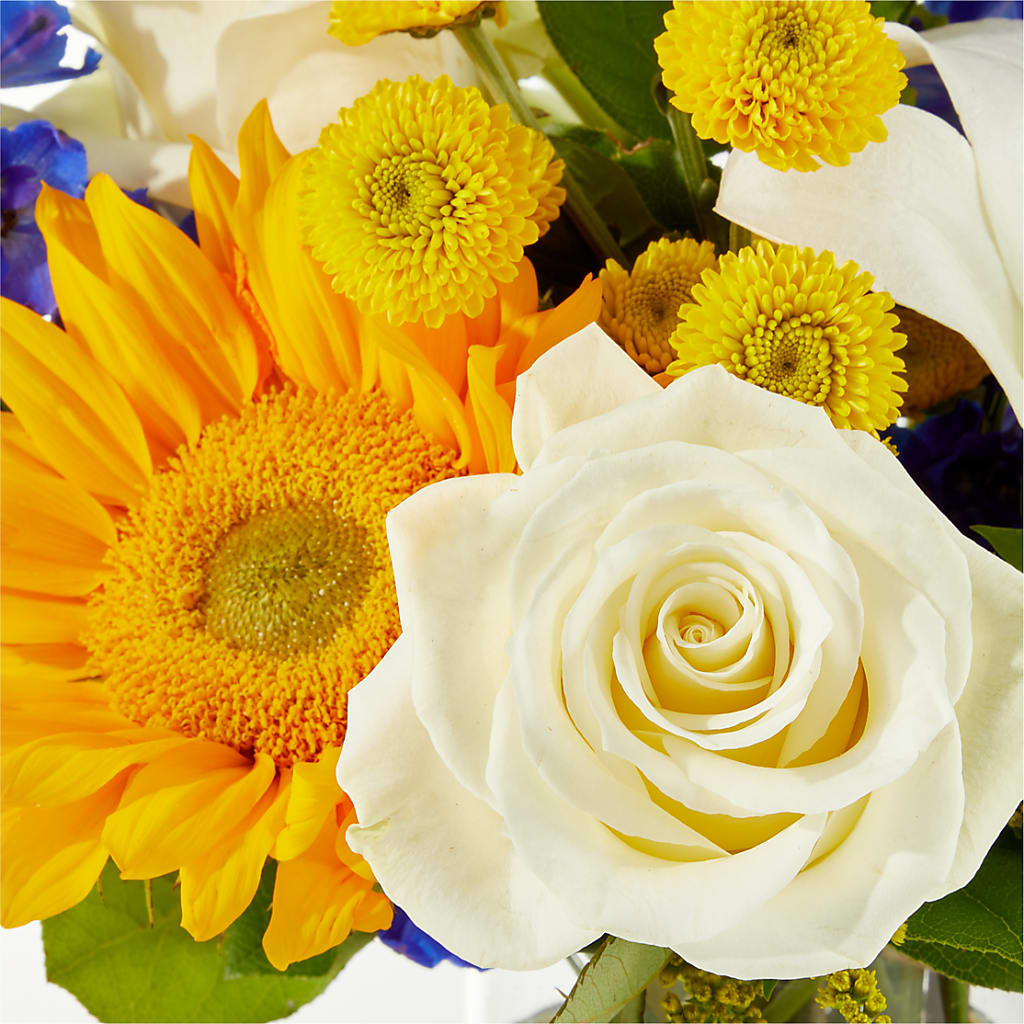 Stargazing Bouquet –  Coleman Brothers Flowers Inc, Richmond VA