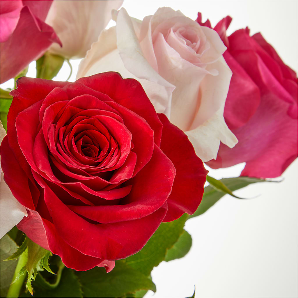 Charming Rose Bouquet –  Coleman Brothers Flowers Inc, Richmond VA
