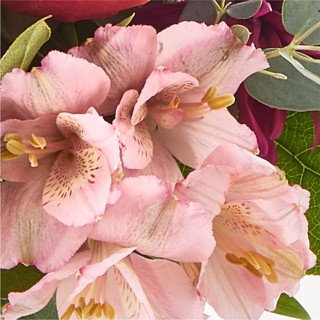 Berry Cobbler Bouquet –  Coleman Brothers Flowers Inc, Richmond VA