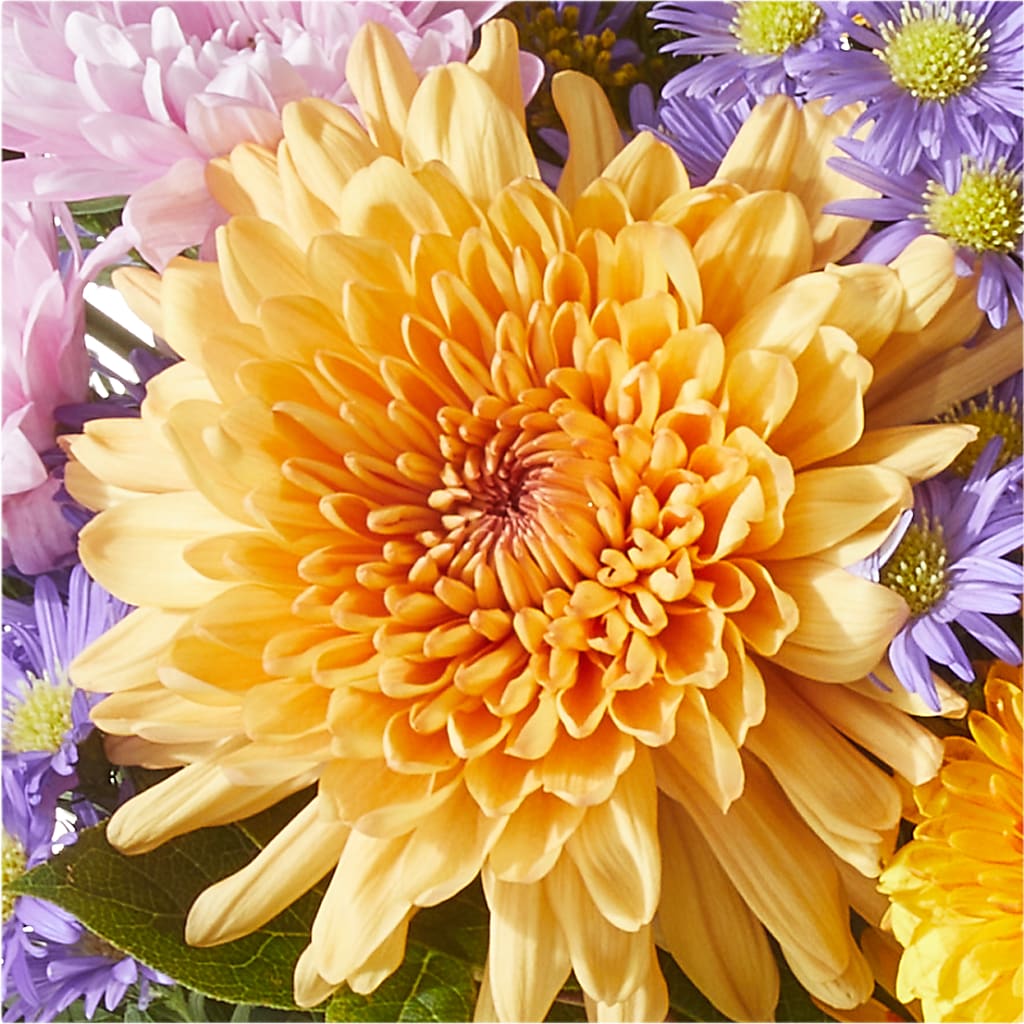 Countryside Bouquet –  Coleman Brothers Flowers Inc, Richmond VA