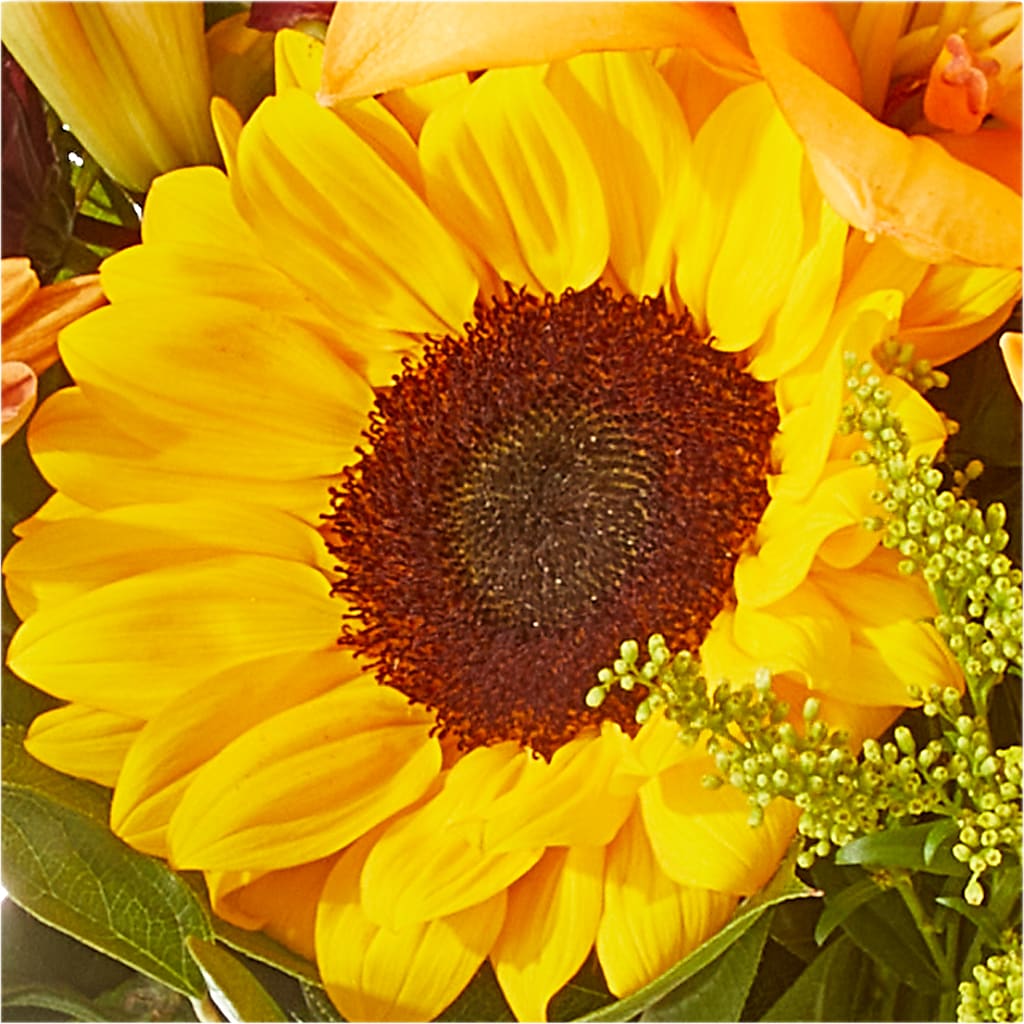 Seasons Change Bouquet –  Coleman Brothers Flowers Inc, Richmond VA