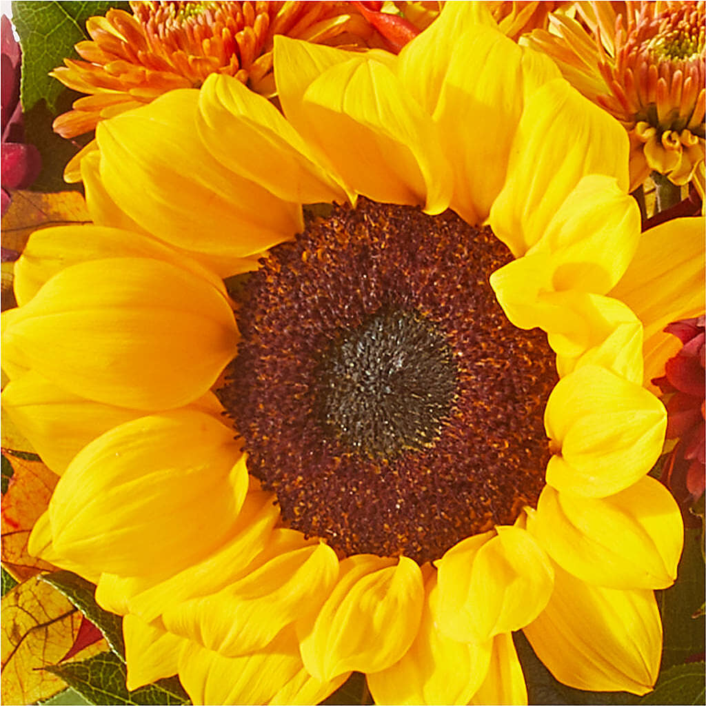 Sunny Side Bouquet –  Coleman Brothers Flowers Inc, Richmond VA