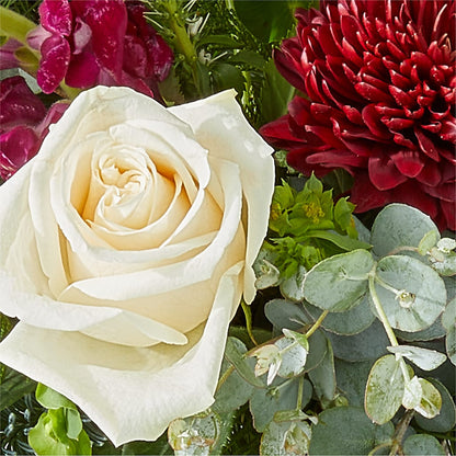 Cranberry Fizz Bouquet –  Coleman Brothers Flowers Inc, Richmond VA
