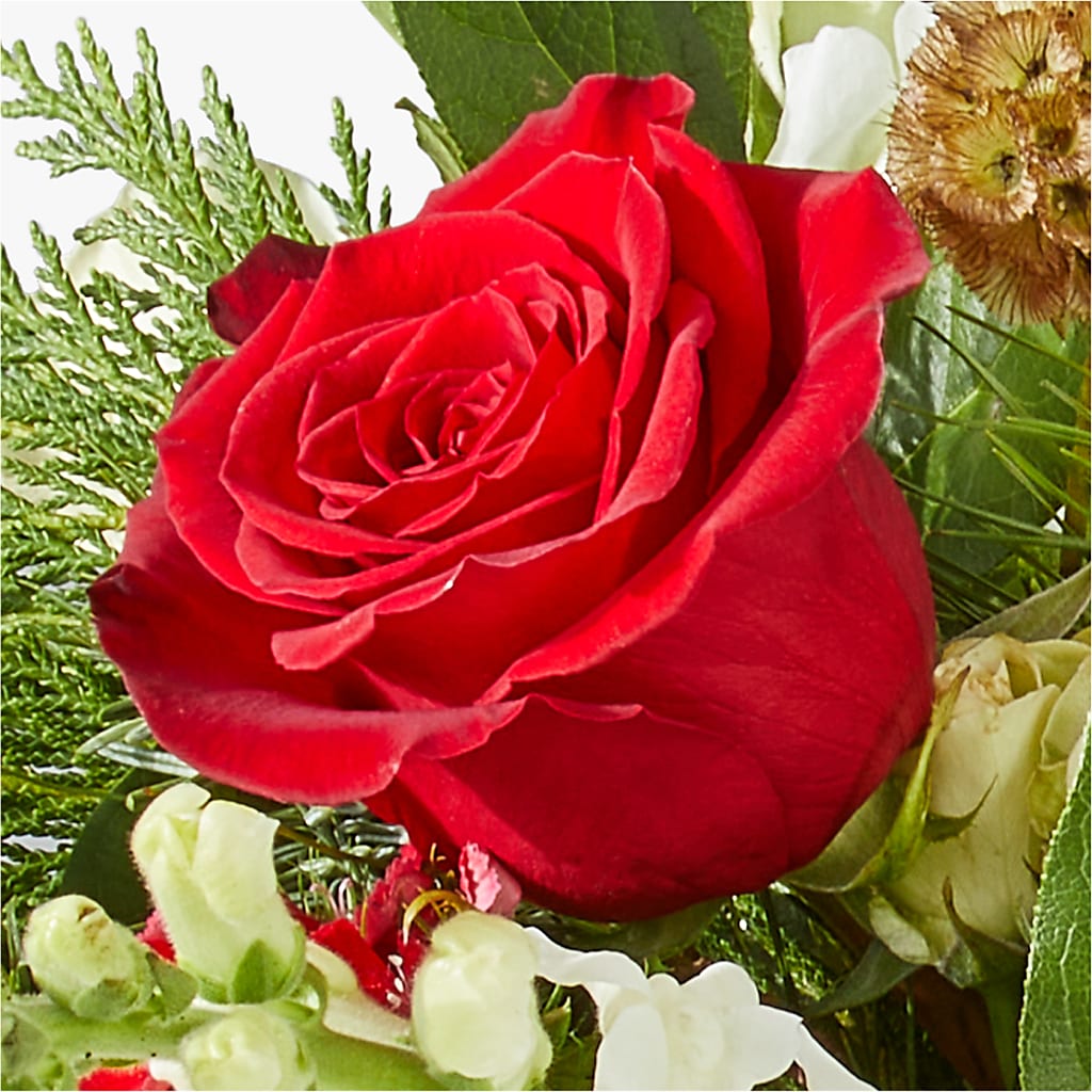 Deck the Halls Bouquet –  Coleman Brothers Flowers Inc, Richmond VA