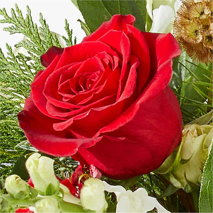 Deck the Halls Bouquet –  Coleman Brothers Flowers Inc, Richmond VA