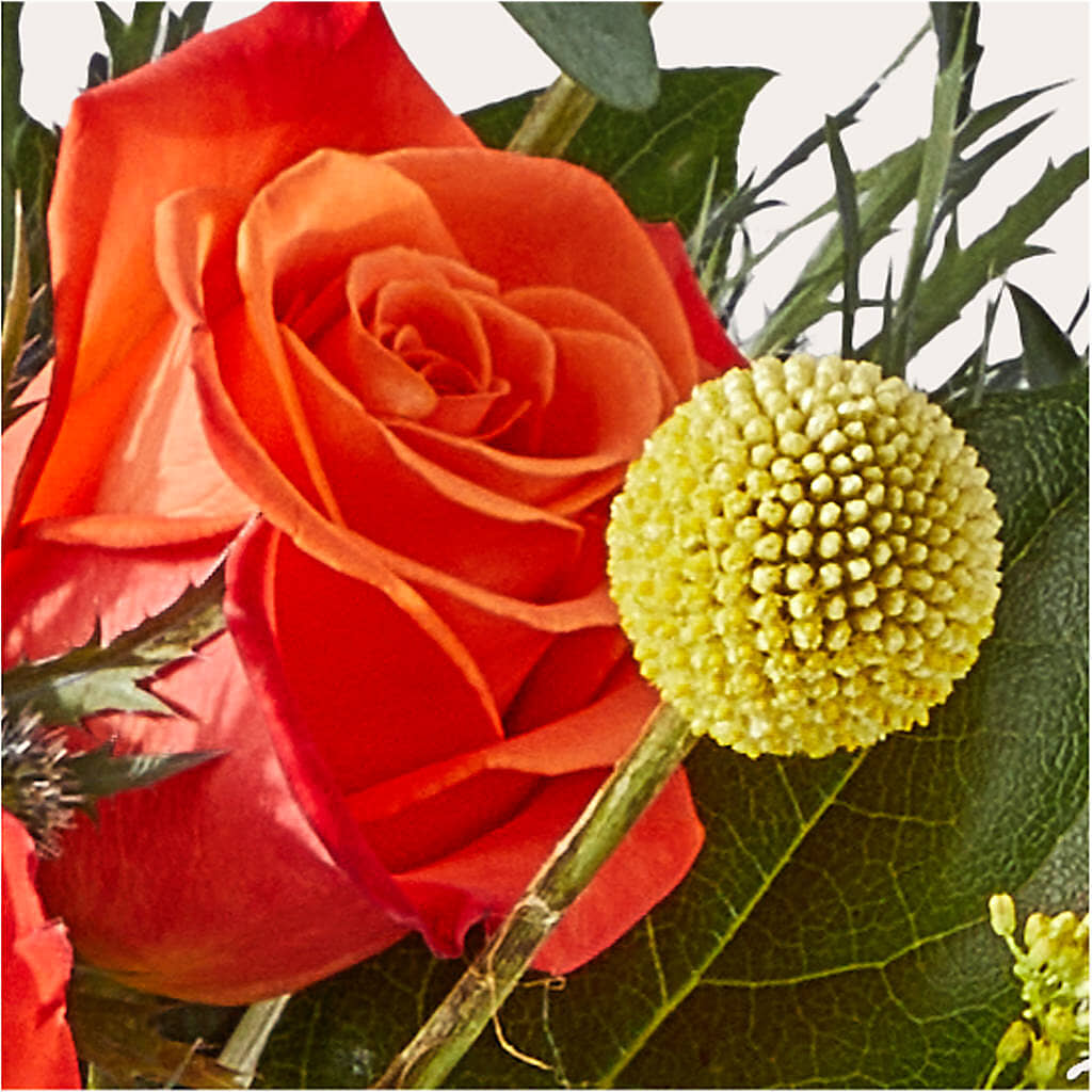 Disco Bouquet –  Coleman Brothers Flowers Inc, Richmond VA
