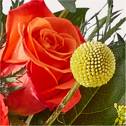Disco Bouquet –  Coleman Brothers Flowers Inc, Richmond VA