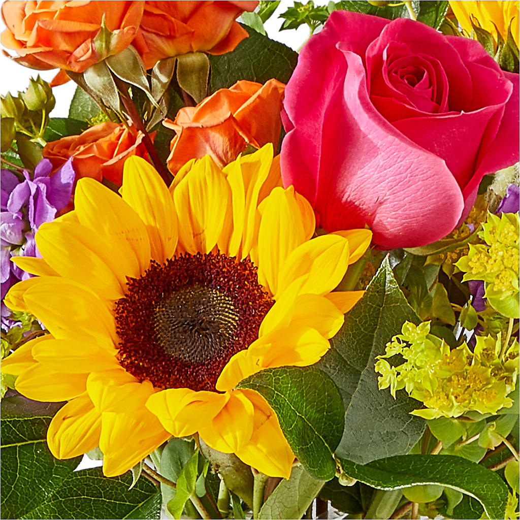 Vibrant Greetings Bouquet –  Coleman Brothers Flowers Inc, Richmond VA