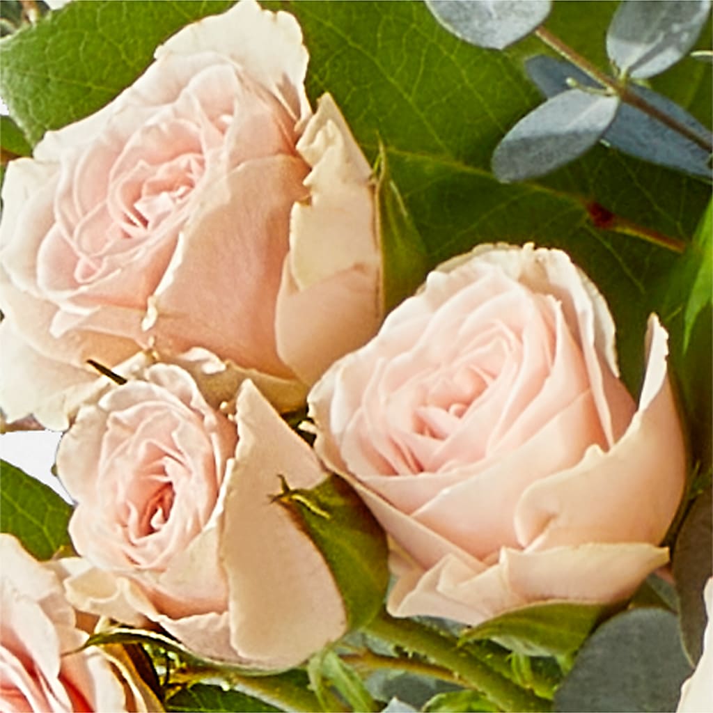 Inspired Bouquet –  Coleman Brothers Flowers Inc, Richmond VA