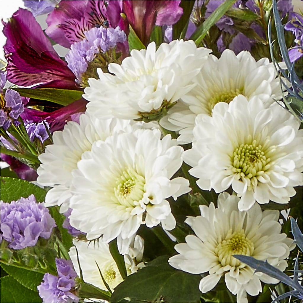 Shooting Star Bouquet –  Coleman Brothers Flowers Inc, Richmond VA