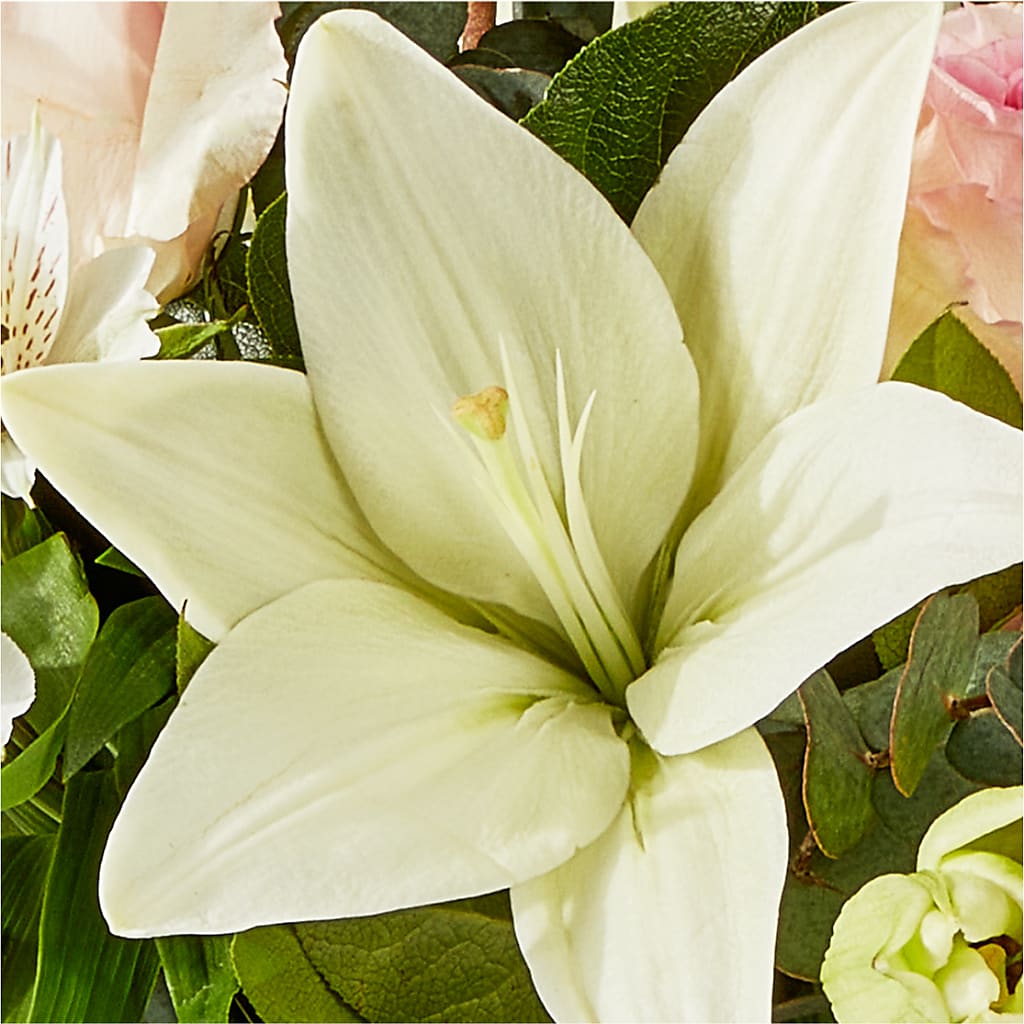 Ballet Slippers Bouquet –  Coleman Brothers Flowers Inc, Richmond VA