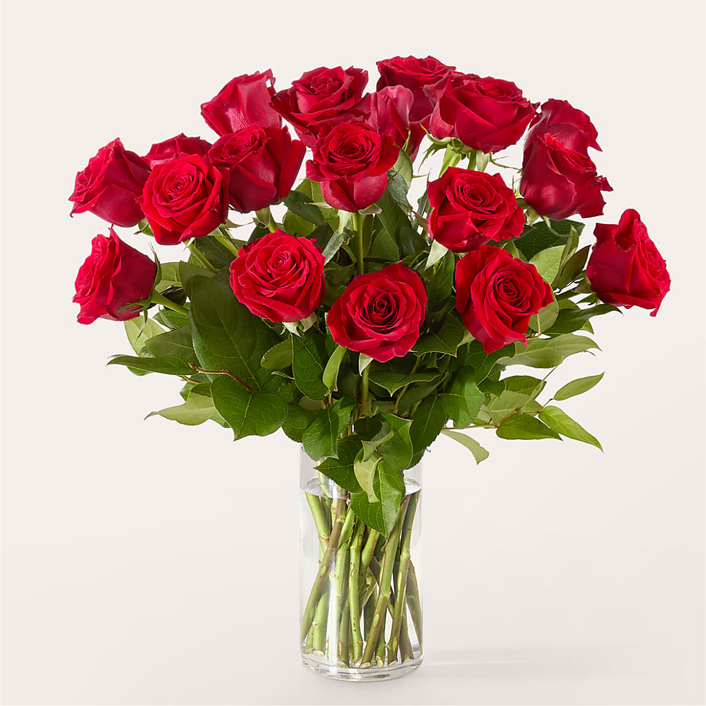 The One Red Rose Bouquet –  Coleman Brothers Flowers Inc, Richmond VA