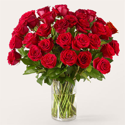 The One Red Rose Bouquet –  Coleman Brothers Flowers Inc, Richmond VA