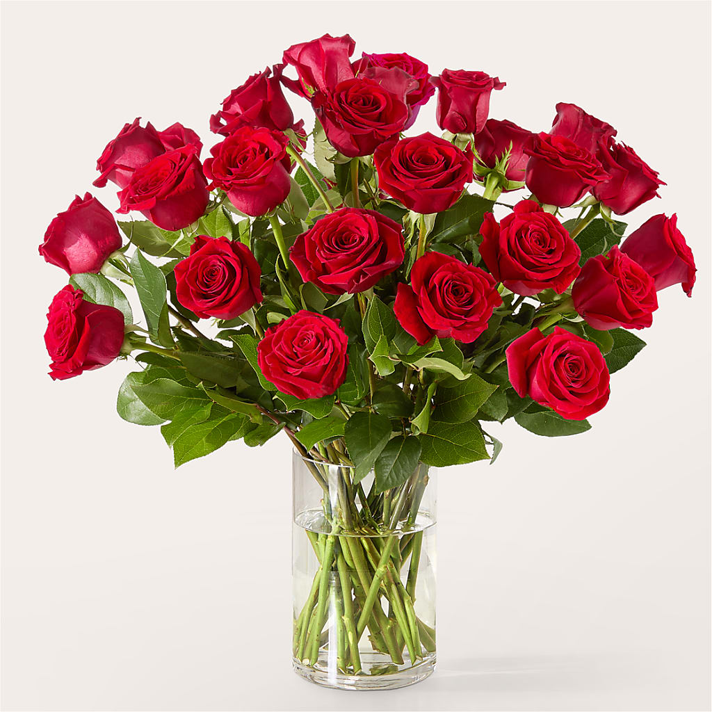 The One Red Rose Bouquet –  Coleman Brothers Flowers Inc, Richmond VA