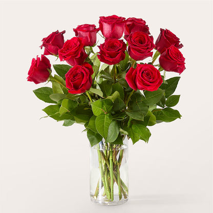 The One Red Rose Bouquet –  Coleman Brothers Flowers Inc, Richmond VA