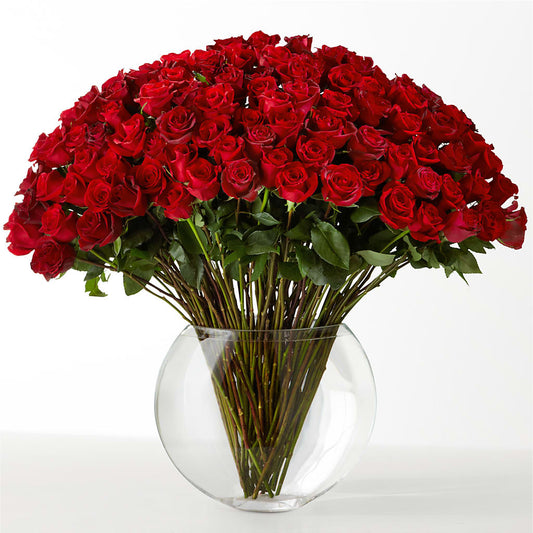 The Idealist –  Coleman Brothers Flowers Inc, Richmond VA