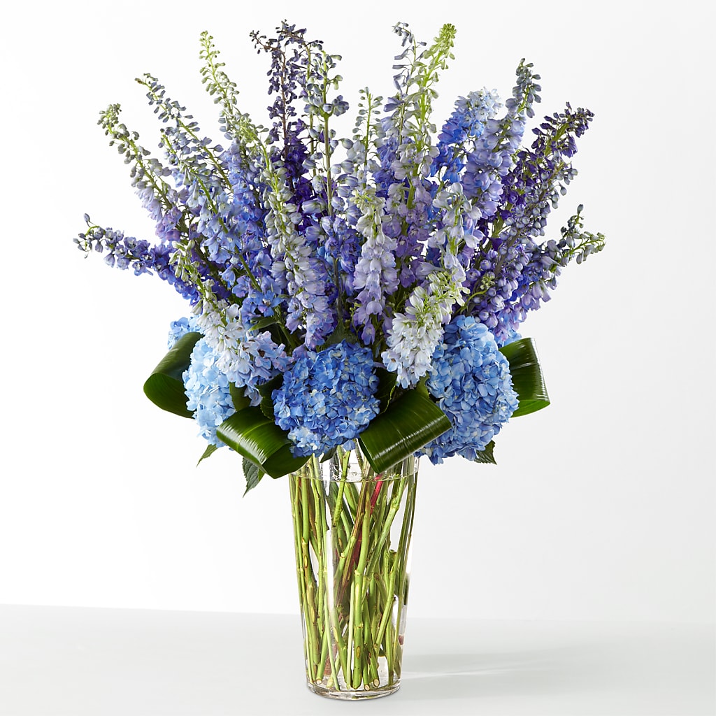 The Editorial –  Coleman Brothers Flowers Inc, Richmond VA