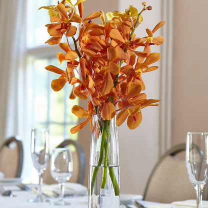 Orange Mokara Bud Vase –  Coleman Brothers Flowers Inc, Richmond VA