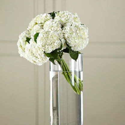 White Hydrangea Hand-Tied Bouquet –  Coleman Brothers Flowers Inc, Richmond VA