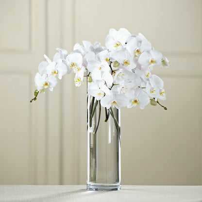 White Phalaenopsis Bouquet –  Coleman Brothers Flowers Inc, Richmond VA