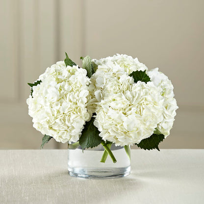 White Hydrangea Bouquet –  Coleman Brothers Flowers Inc, Richmond VA