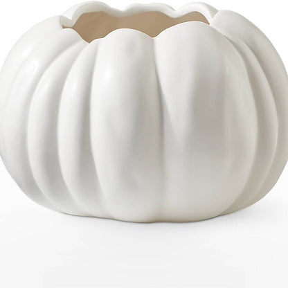 Autumn Air Pumpkin Bouquet –  Coleman Brothers Flowers Inc, Richmond VA